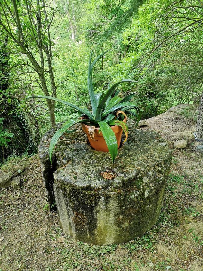 Casa Rural Ardetxal A 16Km De Logrono Y Laguardia Vinaspre Exteriér fotografie